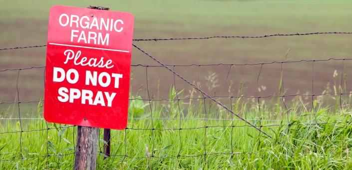 Avoid the "direty dozen" most contaminated crops