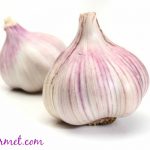 garlic and colon cancer