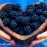 fiber reduces inflammation
