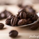 organic shade grown coffee