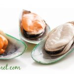 sustainable green mussels 1