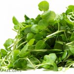 watercress