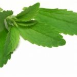 stevia