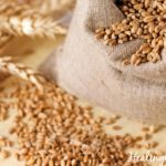 gluten allergy 2