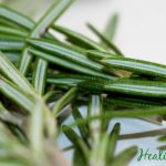 rosemary health benefits