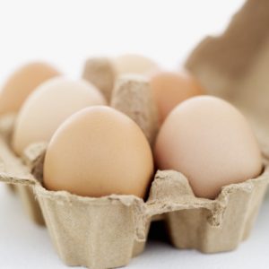 pastured eggs