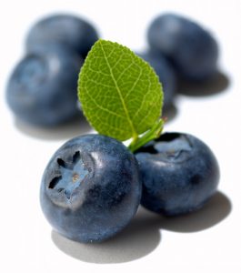 blueberries fight free radicals