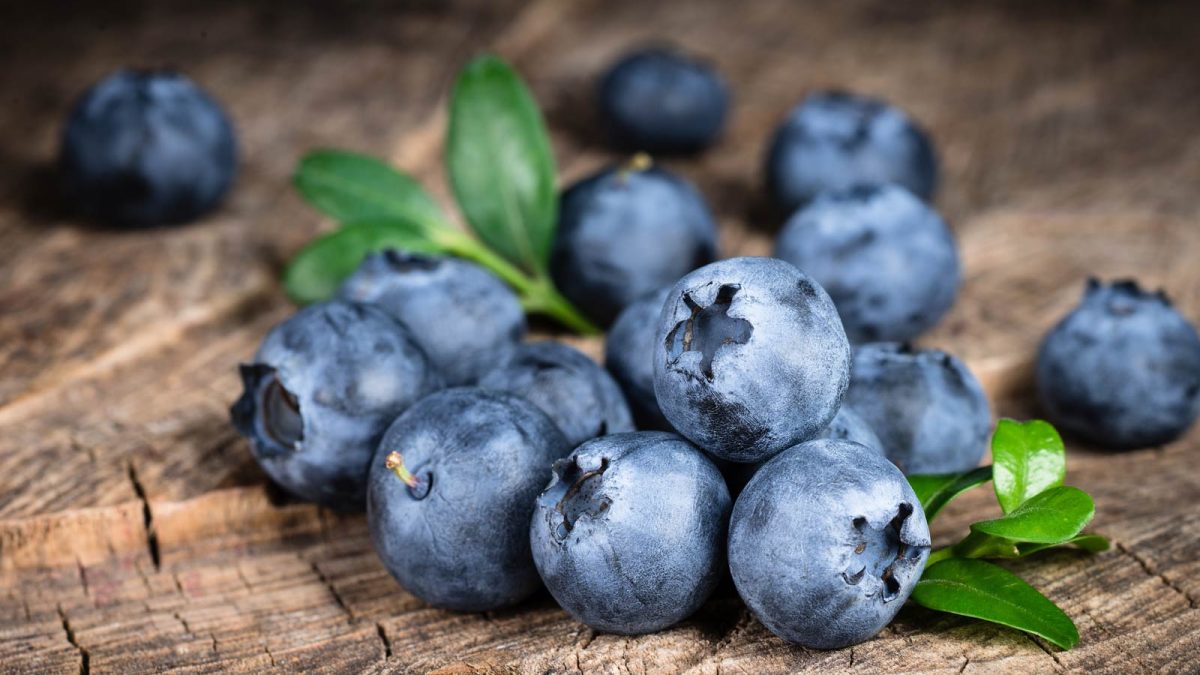 Blueberries and Brain Health (The Superfruit for Your Brain)
