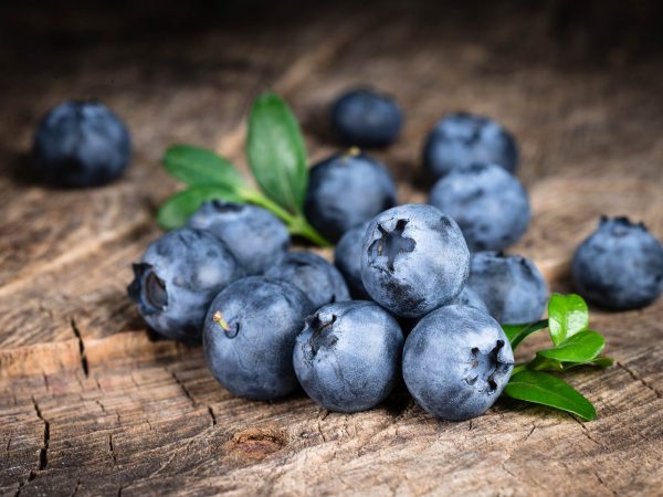 Image from a post with the title: Blueberries and Brain Health (The Superfruit for Your Brain).