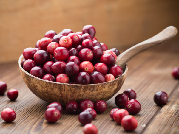 Image from a post with the title: Cranberries: Cranberries are Powerful Medicine.