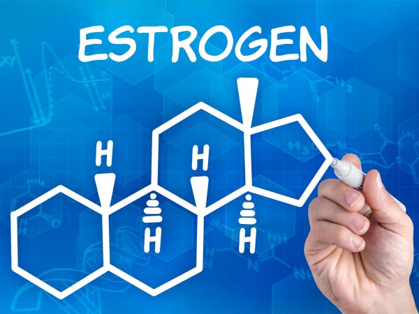 Image from a post with the title: Estrogen and Cancer (And How Diet Reduces Risk).