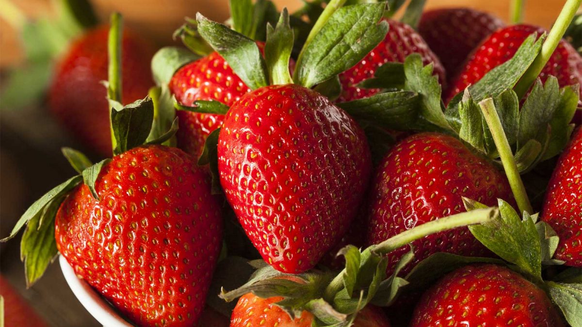 Strawberries Reduce Inflammation (And The Only Kind to Pick!)