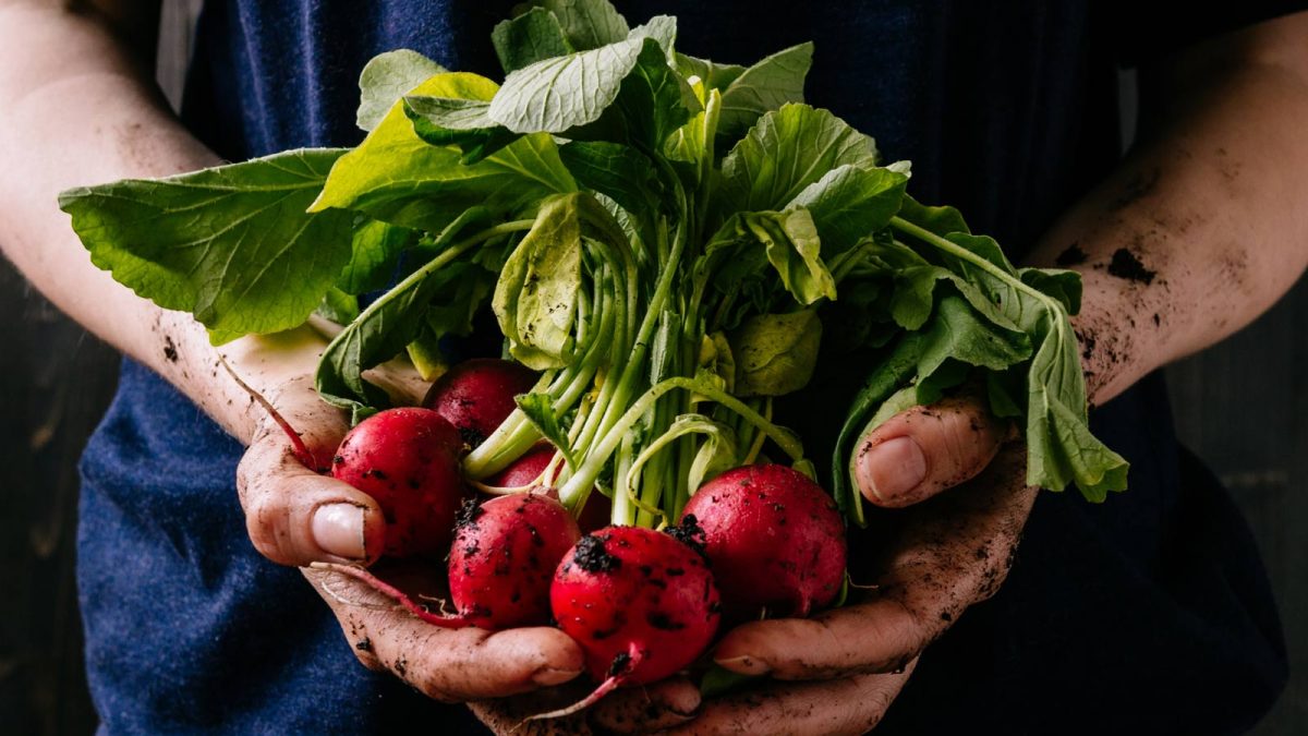 Get 25% MORE Antioxidants in Organic Food