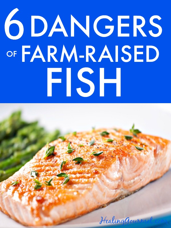 Discover the 6 health hazards of consuming farm-raised fish