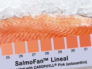 farm raised fish salmofan