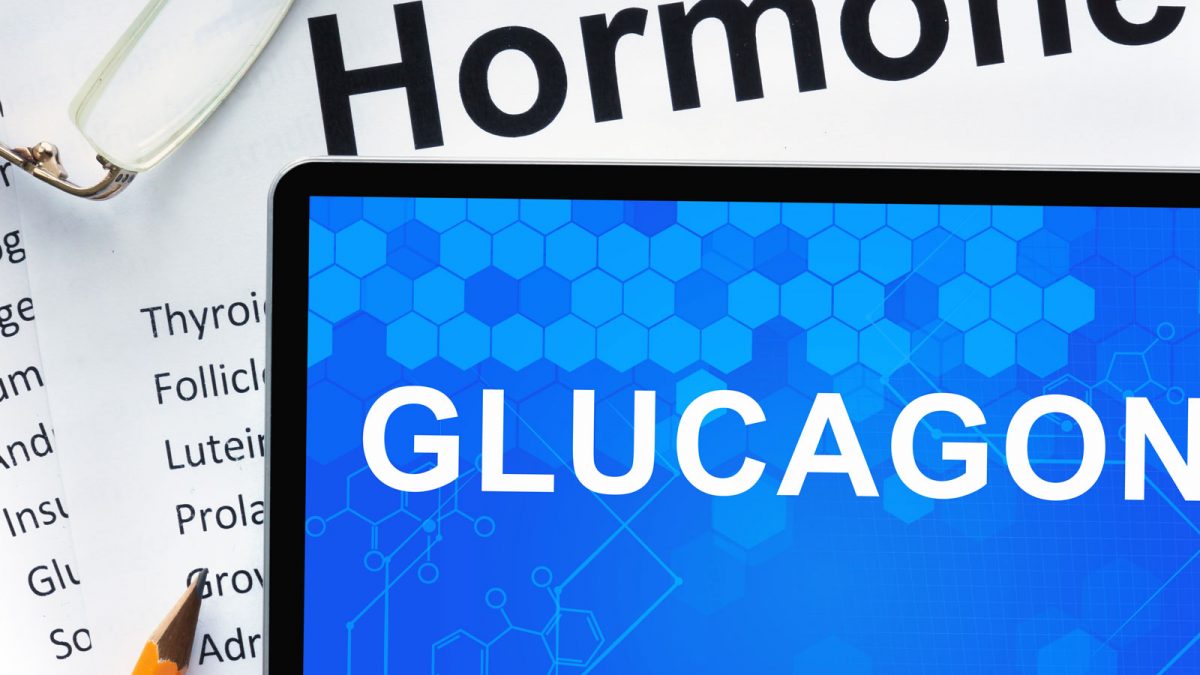 Unlock Glucagon: Your Body’s Fat-Burning Hormone