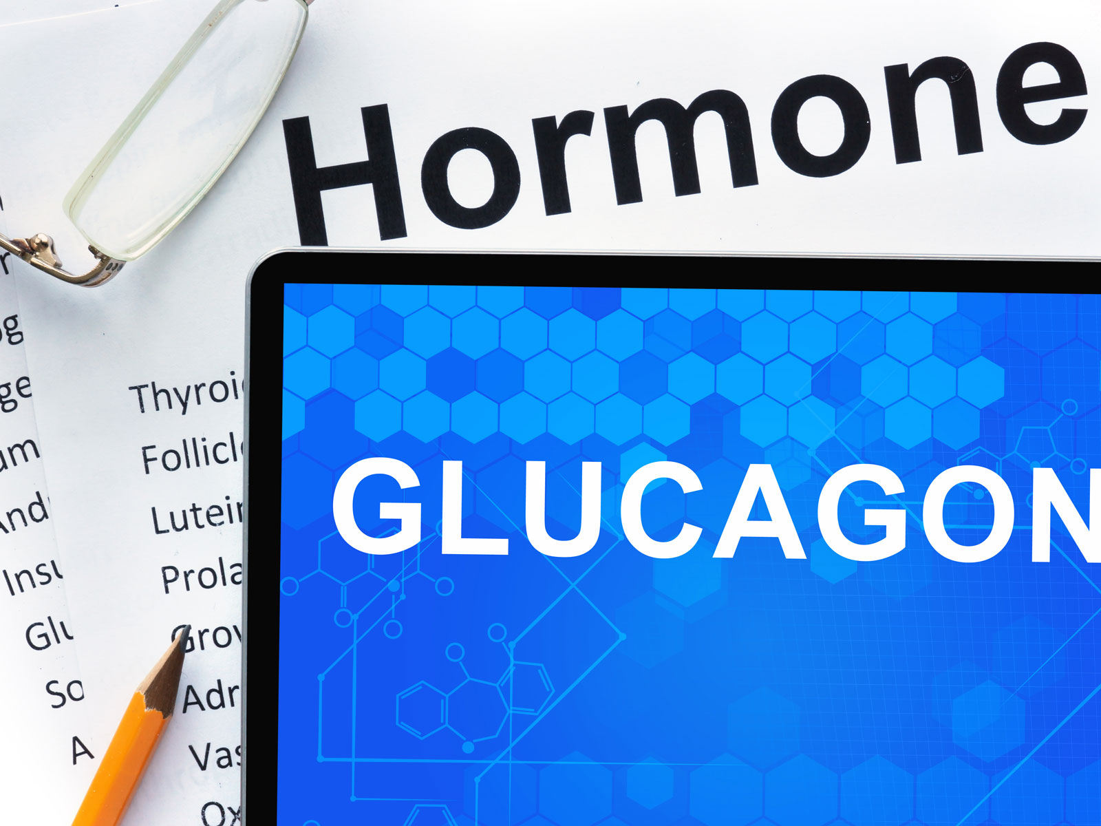 Unlock Glucagon Your Body S Fat Burning Hormone