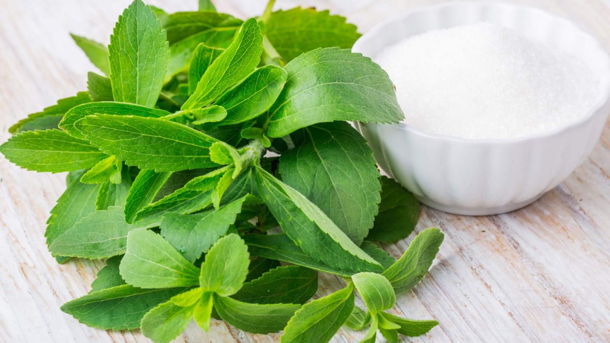 Stevia: Baking with Nature’s Most Powerful Sweetener