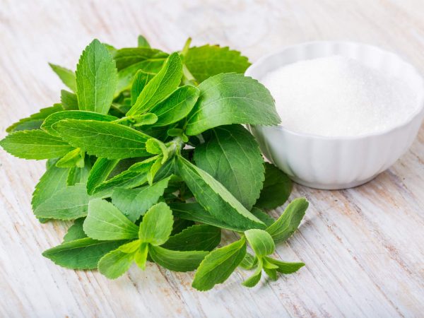 Image from a post with the title: Stevia: Baking with Nature’s Most Powerful Sweetener.