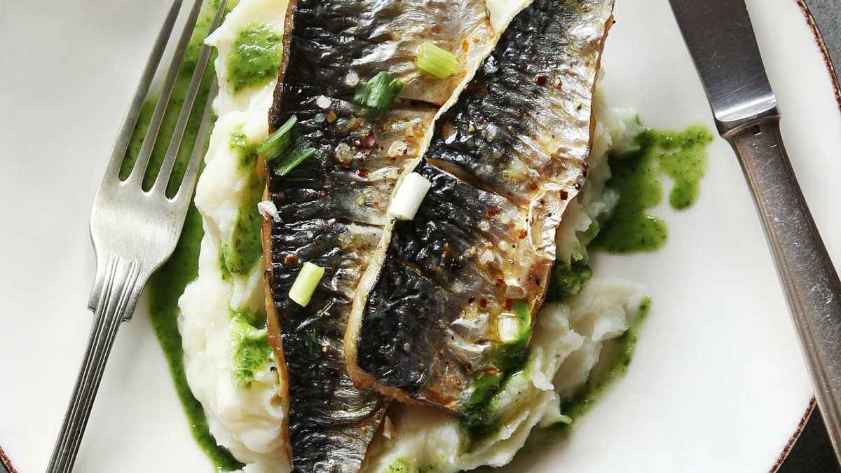 Mackerel: An Energy-Boosting Superfood
