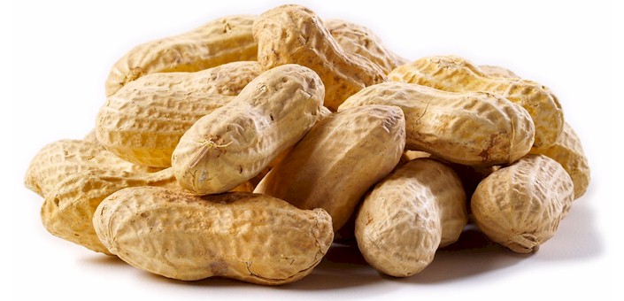 aflatoxin in peanuts