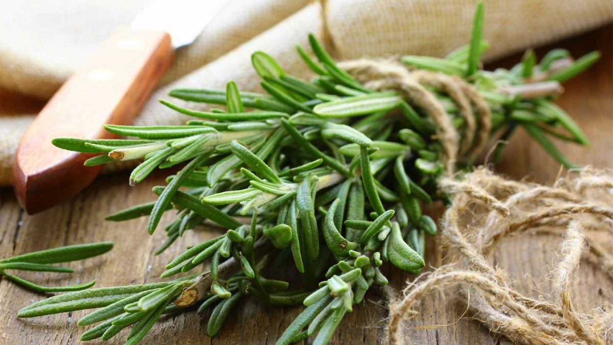 Rosemary Fights Cancer (And How to Get More in Your Diet)