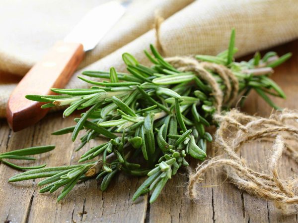 Image from a post with the title: 7 Health Benefits of Rosemary (Plus: How to Boost Its Healing Power).