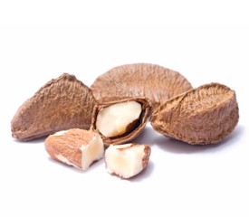 Brazil nuts are a great Paleo snack