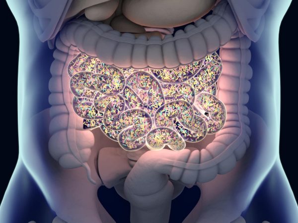 Image from a post with the title: What is the Microbiome.