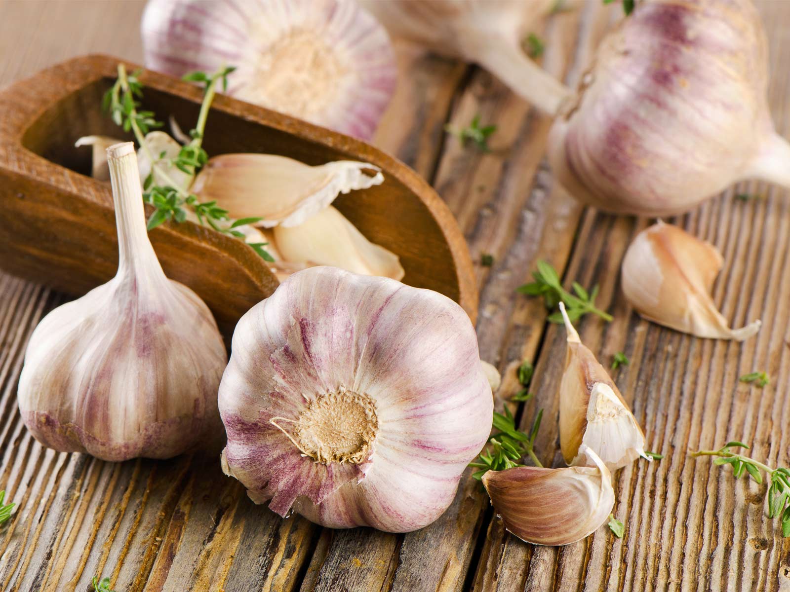 Garlic For Weight Loss Boost Flavor And Nutrients 
