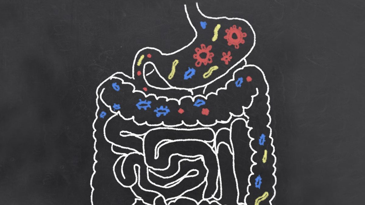 How Gluten Promotes Leaky Gut (Even if You are NOT Gluten Sensitive)