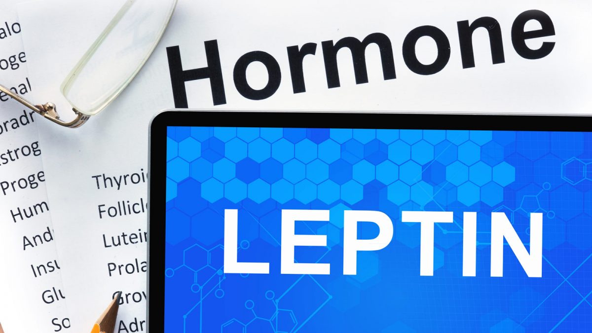 Master Your Leptin for a Lean Physique
