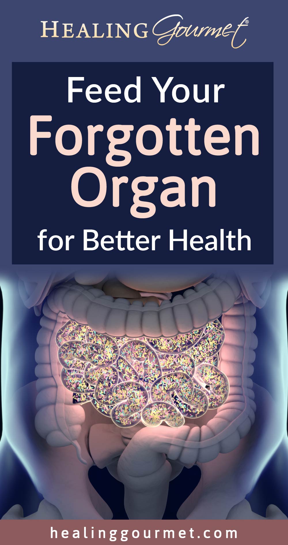 Feed Your Forgotten Organ for Better Health
