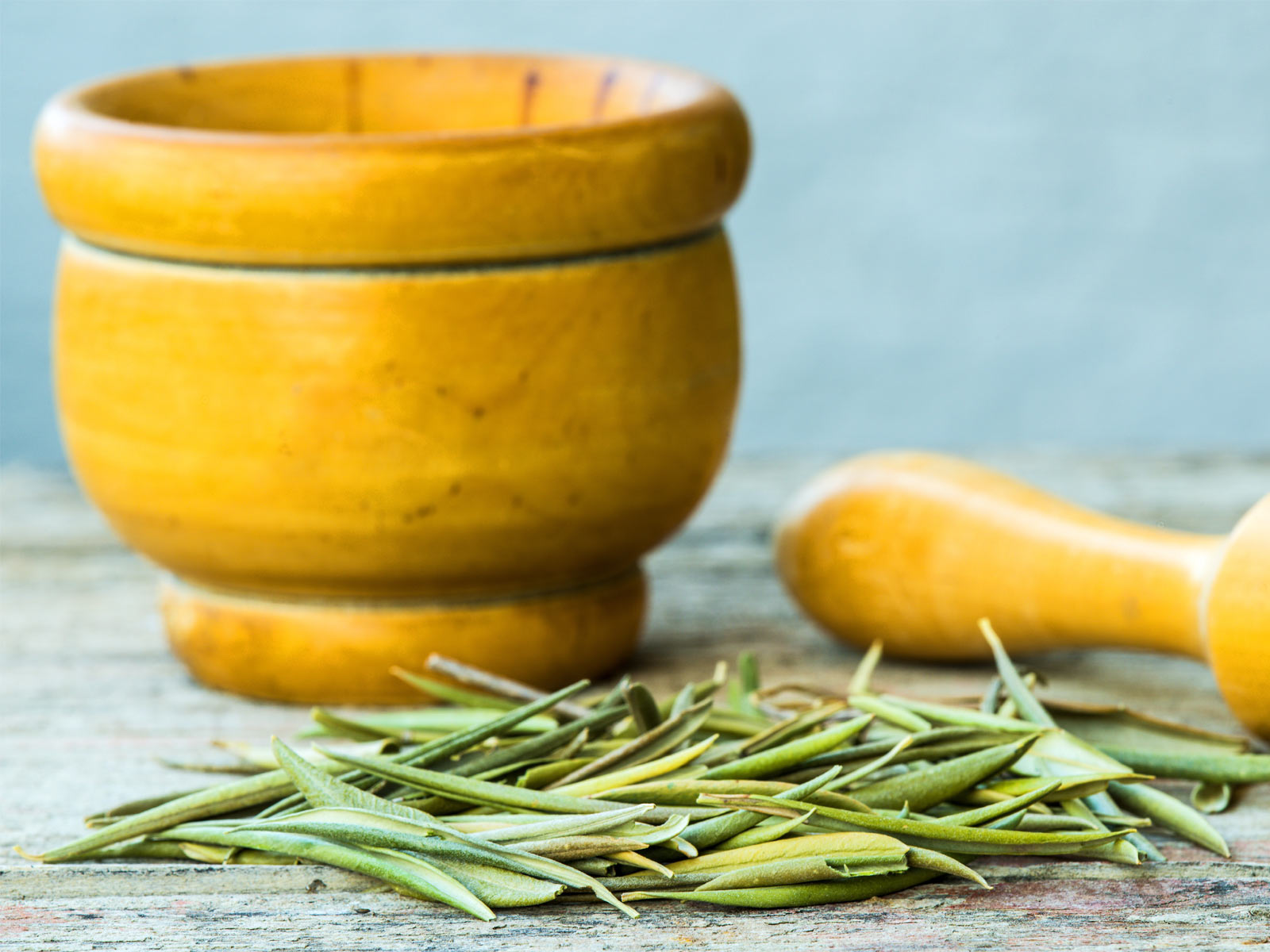 Ward Off Superbugs With These 3 Natural Antibiotics Healing Gourmet