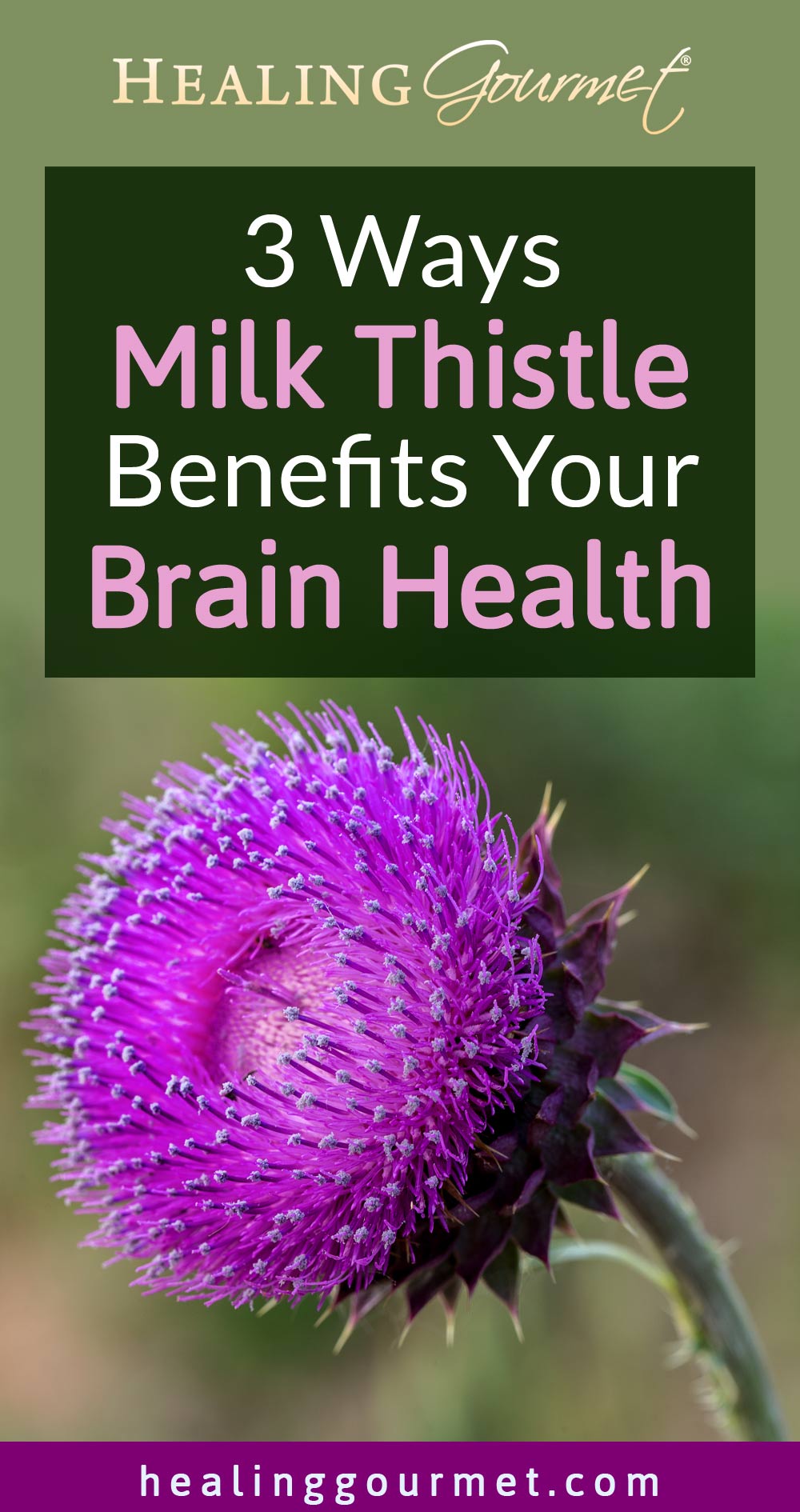 Protect Your Brain with This Herb