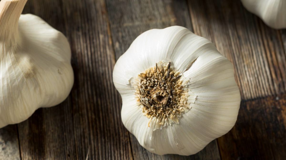 Could Garlic Be the Answer to This Global Health Threat?