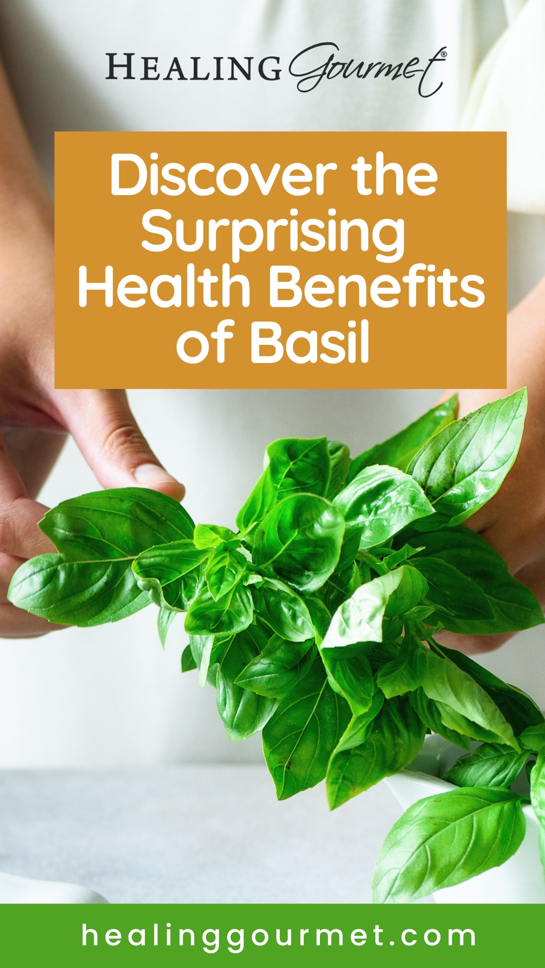 Rediscovering Basil: Major Benefits beyond Aroma & Flavor